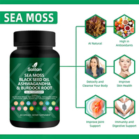Complément Herbal Ashwagandha Solilan OEM Marque Privée en Capsules avec Mousse de Mer Irlandaise, Fucus, Racine de Bardane, Vitamine C et D3