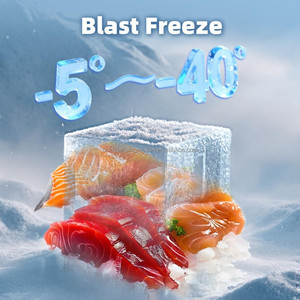Congelador rápido de alto rendimiento, congelador rápido comercial de acero inoxidable de alto rendimiento - Product Image 5