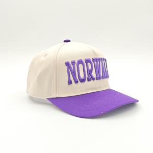 Gorra de Béisbol Oxford de 5 Paneles Personalizada al por Mayor, Unisex, Bordada, con Puntos, Talla Ajustable, Forro Estructurado de Primera Calidad - Product Image 6