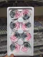 Vente en gros de roses naturelles éternelles multicolores, fleurs préservées, têtes de roses préservées 4-6 cm, prix d'usine, Nouvel An, Noël