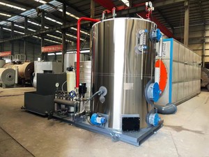 מחולל קיטור ביומסה אוטומטי לחלוטין 100 ק\\\"ג 200 ק\\\"ג 300 ק\\\"ג 500 ק\\\"ג 700 ק\\\"ג לשבבי עץ לתעשיית הכביסה - Product Image 3