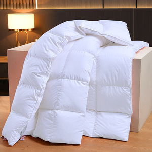 Tùy Chỉnh Xuống Quilted Bộ Đồ Giường Ánh Sáng Sang Trọng Màu Rắn Dày Duvets & <span class=keywords><strong>Comforters</strong></span> Đối Với Trang Chủ & Khách Sạn - Product Image 6