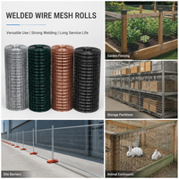 Rouleau de grillage soudé galvanisé pour enclos à volailles, poulailler, cages pour animaux de ferme, acier anti-corrosion haute résistance et durable