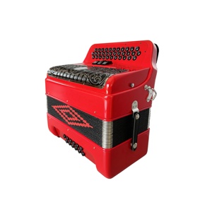 Fisarmonica Professionale SEASOUND JB3412C Rossa, 34 Tasti, 12 Bassi, 3 Registri, Diatonica, Copertura in Celluloide, Portatile, Griglia Nera e Argento - Product Image 5