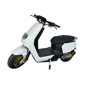 Scooter elettrico resistente con braccio oscillante in lega motorino stradale per città in stile Moto 48v elettrico streetbike
