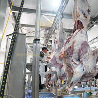Projet clé en main d'abattoir, ligne d'abattage de bovins, équipement d'abattoir pour vaches, machine d'abattage de taureaux à vendre