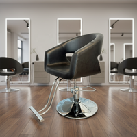 Fauteuil de Barbier en Acier Inoxydable en Gros avec Accoudoirs Rotatifs, Design Moderne Personnalisable, Base Métallique et Repose-Pieds en Métal pour Coiffeur