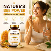 Complément alimentaire pour adultes en capsules de 500 mg de complexe d'abeille et de gelée royale, antioxydant, à base de matières premières d'abeille pures, soin vital quotidien, emballage personnalisé, OEM