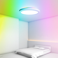 Plafonniers LED ronds intelligents à montage en surface, personnalisés pour l'intérieur, 24 W, RGB, 2700 K-6000 K, CCT réglable, Banqcn
