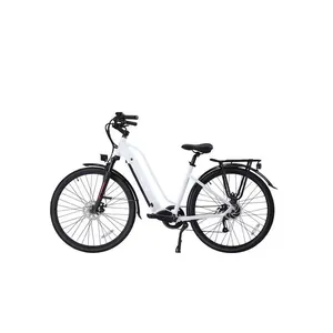 Wholesale China Sales Price Eco Friendly 350w 36V Adult Bike Ebike E-bike Electric Bicycle With Backseat