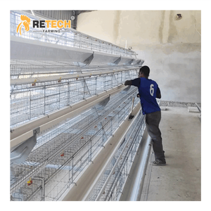 Một Loại 96/120/128/160 Chim Gà Lớp Lồng Tự Động Động Vật Ăn Thiết Bị Cho Gà Đẻ - Product Image 4