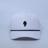 Gorras de Surf Impermeables, Logotipo de Goma Personalizado, Perforaciones Cortadas con Láser, Gorras Deportivas Blancas de 5 Paneles, Gorras de Béisbol, Gorras de Golf