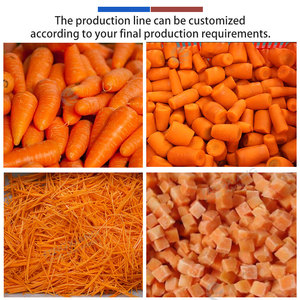 Ligne de traitement industrielle pour carottes et radis : machine de lavage, pelage, tri, pesage et emballage de carottes - Product Image 6