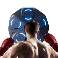 Cible murale de boxe connectée SPORTVUE de haute qualité avec musique, pour entraînement à domicile, avec éclairage, durable et écologique