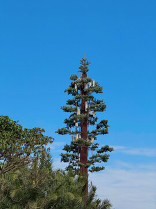 Tháp di động cây Bionic ngụy trang | cột Viễn Thông cây thông nhân tạo cho vùng phủ sóng đô thị và nông thôn - Product Image 6