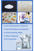 Poudre adhésive thermofusible DTF Jetcolor à fusion rapide 100% TPU certifiée CE 80-200µm Blanc/Noir pour impression à chaud sur imprimante Guangdong