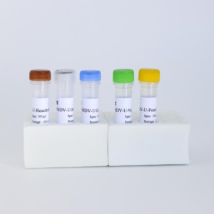 Kit de PCR do vírus da febre aftosa liofilizado (baseado em sonda, 50 testes) - Product Image 6