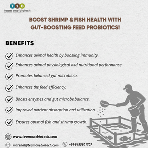 โปรไบโอติกสำหรับอาหารปลาและกุ้ง สารเติมแต่งคุณภาพสูงสำหรับการเพาะเลี้ยงสัตว์น้ำ - Product Image 1