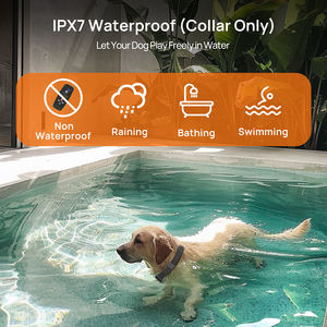 <span class=keywords><strong>Collar</strong></span> de descarga eléctrica recargable a prueba de agua para perros grandes y pequeños, dispositivo de entrenamiento de perros con Control remoto, anillo antiladridos de plástico - Product Image 5