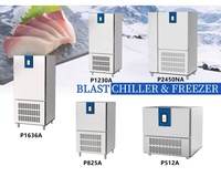 Congélateur-chiller professionnel 5 bacs pour cuisine de restaurant, armoire de congélation monotempérature en acier inoxydable, meilleur mode de refroidissement par ventilateur