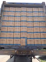 Poudre d'assaisonnement de qualité alimentaire pour chips, frites et poulet, aux saveurs BBQ, beurre, fromage, fumée, tomate et miel-beurre