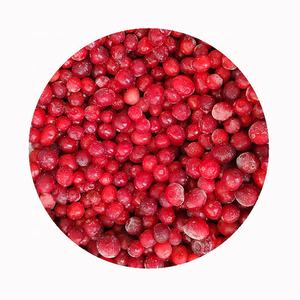 Vente en gros fournisseur export prix IQF fruits surgelés canneberge nature comestible Sd emballage en vrac canneberge décor chine 10 Kg 1 tonnes - Product Image 2