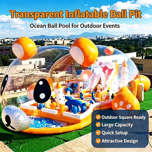 Palazzo Gonfiabile Trasparente con Scivolo, Parco Giochi per Bambini, Piscina <span class=keywords><strong>di</strong></span> Palline Oceaniche, Casa delle Bolle - Product Image 1