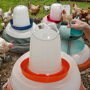 Bebedero Automático <span class=keywords><strong>de</strong></span> Plástico para Aves <span class=keywords><strong>de</strong></span> Corral, Fuente para Beber <span class=keywords><strong>de</strong></span> Pollo, Diferentes Tamaños, Equipo <span class=keywords><strong>de</strong></span> Granja, Nuevo, Hecho <span class=keywords><strong>de</strong></span> Acero PP - Product Image 3