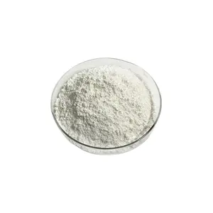 Nano TiO2 Pulverpreis Nano Titan Dioxid Pulver TiO2 Nanopartikel Nano Tio2 Beschichtung Kosmetik