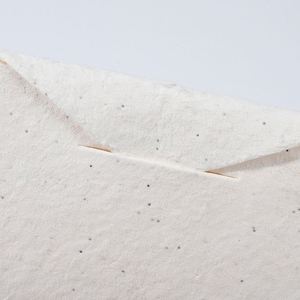 Tailored Shape Paper Biodegradable Stationery Custom Seed <b>Blends</b> for Marketing - Product Image 6