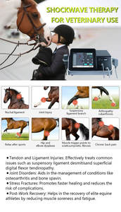 Appareil de Thérapie <span class=keywords><strong>Laser</strong></span> Vétérinaire T240 à Froid pour Soulager la Douleur chez les Chiens et Chevaux - Product Image 4