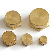 Bouchon d'extrémité en laiton à tête hexagonale fileté NPT femelle 1/4" 1/8" 3/8" 1/2" 3/4" pour tuyau, raccord de plomberie, adaptateur
