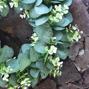 Guirnalda grande <span class=keywords><strong>de</strong></span> hojas artificiales <span class=keywords><strong>de</strong></span> oro, eucalipto verde para puerta delantera, colgante, fábrica M533, venta al por mayor - Product Image 2