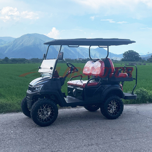 2024 pas cher hors route <span class=keywords><strong>chasse</strong></span> essence Buggy 4 6 places Club Car 4X4 chariot de golf à essence à vendre - Product Image 1