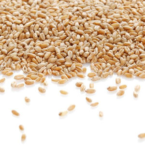 Impianto di Mulino per <span class=keywords><strong>Farina</strong></span> Cinese/Mulino per <span class=keywords><strong>Farina</strong></span> di Grano a <span class=keywords><strong>2</strong></span> Rulli/Prezzo Mulini per <span class=keywords><strong>Farina</strong></span> in Etiopia - Product Image 6