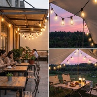 Guirlandes lumineuses LED incassables avec cordon noir, lumières suspendues pour jardin, terrasse, bistrot, café, mariage, décoration de fête