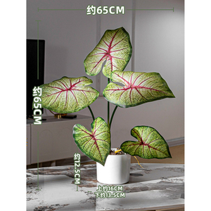 Mini Plantas Artificiales en Maceta, Eucalipto, Caladium, Lavanda, Bonsái, Adorno Verde en Maceta para Decoración del Hogar, Escritorio, Oficina, Mesa - Product Image 2