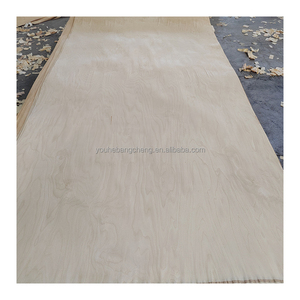 1250x2500mm 0.15-2.0mm <span class=keywords><strong>A</strong></span> B <span class=keywords><strong>C</strong></span> D lớp gỗ Veneer gỗ Veneer quay từ Lâm nghi - Product Image 6