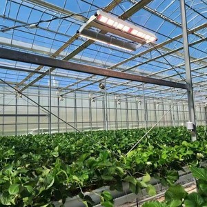 Aleación de aluminio IP65 LED Grow Light Plants Full Cycle Spectrum 1250W PPE2.7 Plantas plegables Grow Light para casa verde comercial - Product Image 4