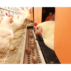 Boîte à œufs automatique pour l'élevage des œufs, plancher pour l'éclosion - Product Image 4