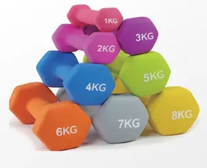 Fitness Custom Cheap Neoprene Dumbbells Set Color Vinyl Cast Iron Dumbbells