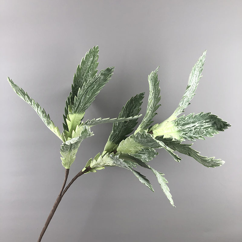 4- 2 branch leaf
