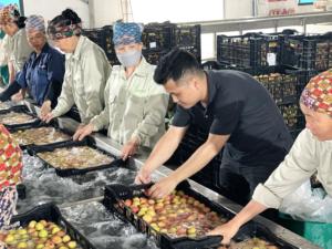 ลิ้นจี่แช่แข็งผลิตภัณฑ์ทางการเกษตรจากเวียดนามสำหรับตลาดต่างประเทศ - Product Image 3