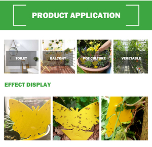 Planta atrapadora de insectos de doble cara, pegamento fuerte no tóxico, trampas para moscas amarillas - Product Image 4