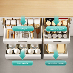 Estante para platos de cocina multifuncional extensible ajustable para debajo del fregadero, soporte para especias, placa extraíble S/S, cajón de organización - Product Image 2