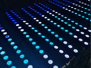 ไฟวอลวอชเชอร์ LED RGBW 18x10W 4-in-1 สำหรับผสมสี ใช้ในงานดิสโก้ ปาร์ตี้ งานแต่งงาน - Product Image 3