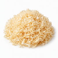 Serutan Kayu Aspen Alas Tidur Hewan Peliharaan 5-8 Tahun Poplar Partikel Besar Kecil Substrat Ular Hamster Rendah Debu