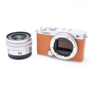 Panasonic Lumix DC-S9N (18-40mm F4.5-6.3) (Orange, DC-S9N-D) - Product Image 4