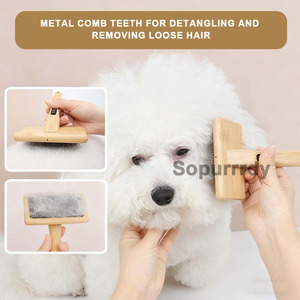 Brosse de toilettage personnalisée avec logo, brosse en bois à dents en acier, brosse de toilettage à coussin d'air, peigne lissant, brosse de massage, peigne en bois - Product Image 4