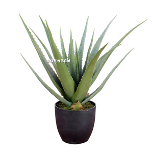 Planta Artificial <span class=keywords><strong>de</strong></span> Aloe <span class=keywords><strong>Vera</strong></span> en Maceta, Bonsái Suculento, Decoración <span class=keywords><strong>de</strong></span> Interiores para el Hogar y la Oficina - Product Image 4